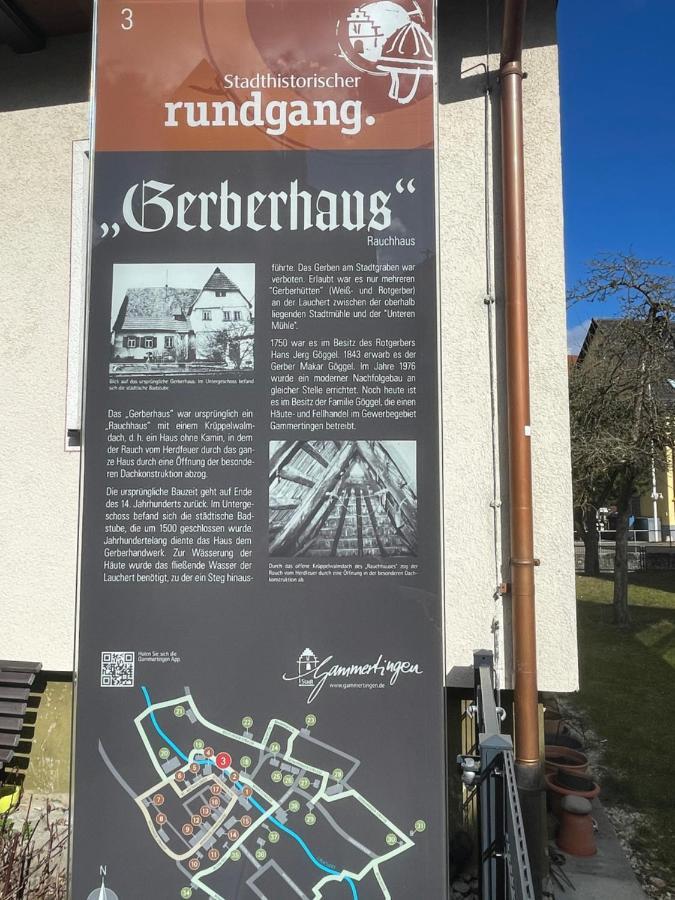 Ferienwohnung Im Gerberhaus 加默廷根 外观 照片